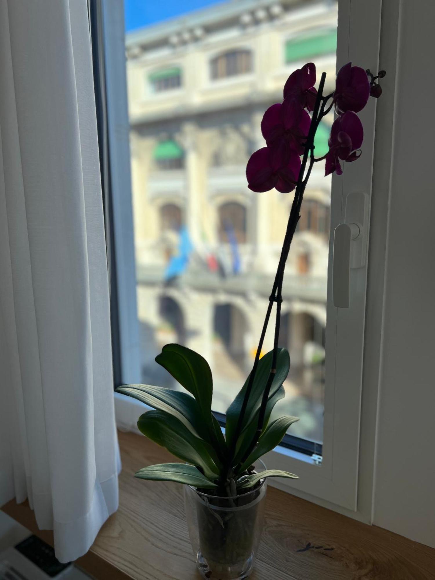 Conte Cavour Appartement Udine Buitenkant foto